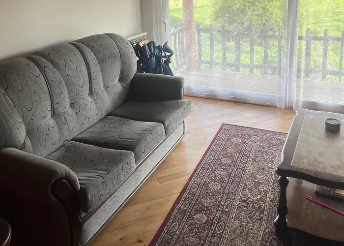 1 Bed - Sleeps 4 - Pets - Balcony - Mtn View *